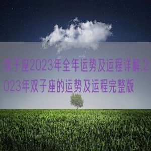 双子座2023年全年运势及运程详解,2023年双子座的运势及运程完整版