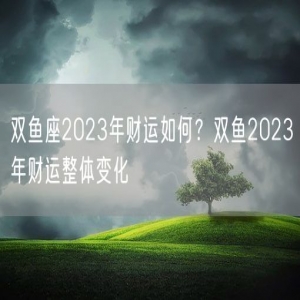 双鱼座2023年财运如何？双鱼2023年财运整体变化