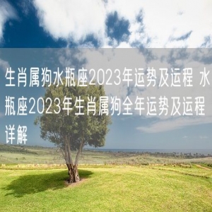 生肖属狗水瓶座2023年运势及运程 水瓶座2023年生肖属狗全年运势及运程详解