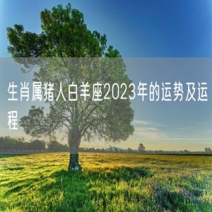 生肖属猪人白羊座2023年的运势及运程