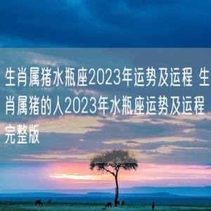 生肖属猪水瓶座2023年运势及运程 生肖属猪的人2023年水瓶座运势及运程完整版