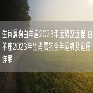 生肖属狗白羊座2023年运势及运程 白羊座2023年生肖属狗全年运势及运程详解
