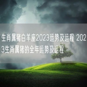 生肖属猪白羊座2023运势及运程 2023生肖属猪的全年运势及运程 