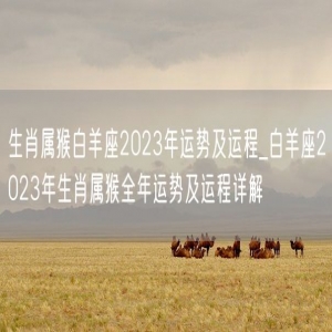 生肖属猴白羊座2023年运势及运程_白羊座2023年生肖属猴全年运势及运程详解