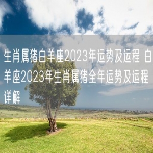 生肖属猪白羊座2023年运势及运程 白羊座2023年生肖属猪全年运势及运程详解