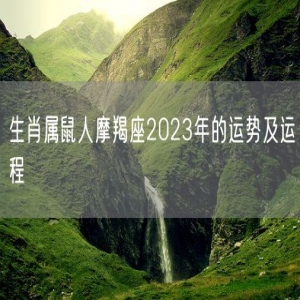 生肖属鼠人摩羯座2023年的运势及运程