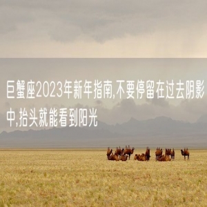 巨蟹座2023年新年指南,不要停留在过去阴影中,抬头就能看到阳光