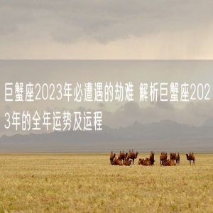 巨蟹座2023年必遭遇的劫难 解析巨蟹座2023年的全年运势及运程