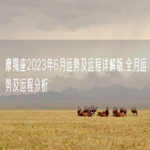 摩羯座2023年6月运势及运程详解版,全月运势及运程分析
