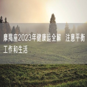 摩羯座2023年健康运全解  注意平衡工作和生活