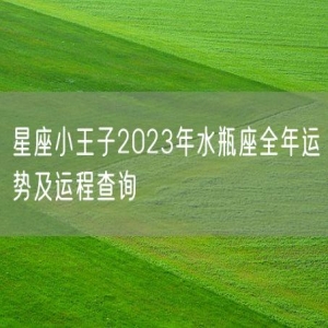 星座小王子2023年水瓶座全年运势及运程查询