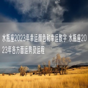 水瓶座2023年幸运颜色和幸运数字 水瓶座2023年各方面运势及运程