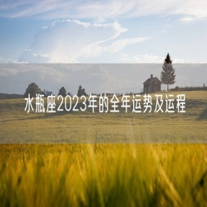 水瓶座2023年的全年运势及运程
