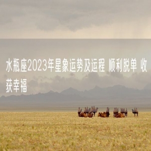 水瓶座2023年星象运势及运程 顺利脱单 收获幸福