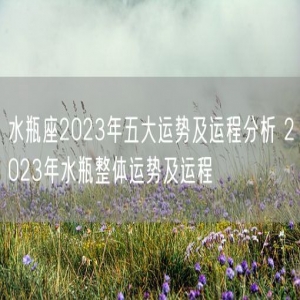 水瓶座2023年五大运势及运程分析 2023年水瓶整体运势及运程 