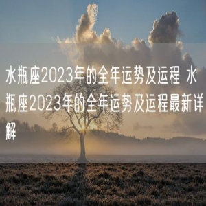 水瓶座2023年的全年运势及运程 水瓶座2023年的全年运势及运程最新详解