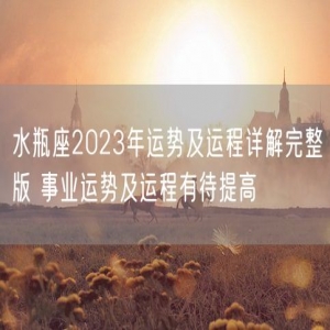 水瓶座2023年运势及运程详解完整版 事业运势及运程有待提高
