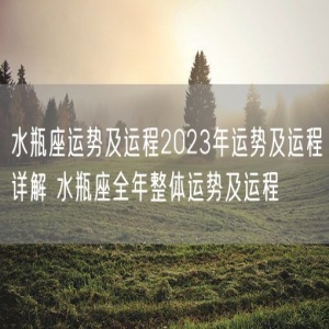 水瓶座运势及运程2023年运势及运程详解 水瓶座全年整体运势及运程