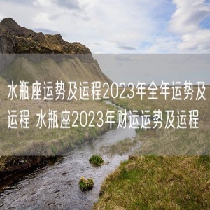 水瓶座运势及运程2023年全年运势及运程 水瓶座2023年财运运势及运程