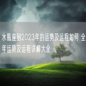 水瓶座到2023年的运势及运程如何 全年运势及运程详解大全