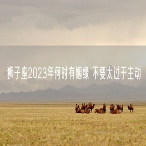 狮子座2023年何时有姻缘 不要太过于主动