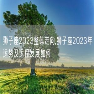 狮子座2023整体走向,狮子座2023年运势及运程发展如何