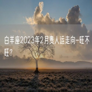 白羊座2023年2月贵人运走向-旺不旺？    