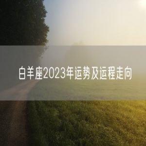 白羊座2023年运势及运程走向