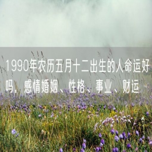 1990年农历五月十二出生的人命运好吗，感情婚姻、性格、事业、财运