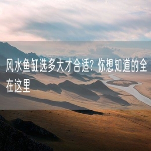 风水鱼缸选多大才合适? 你想知道的全在这里