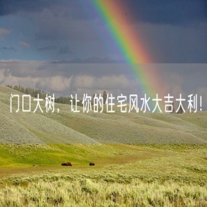 门口大树，让你的住宅风水大吉大利！