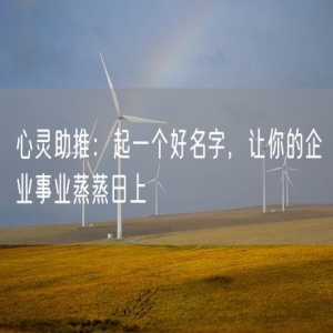 心灵助推：起一个好名字，让你的企业事业蒸蒸日上