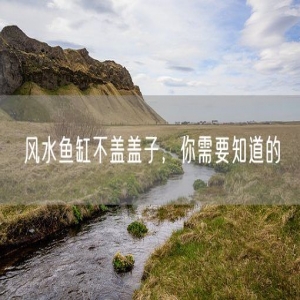 风水鱼缸不盖盖子，你需要知道的