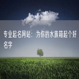 专业起名网站：为你的水族箱起个好名字