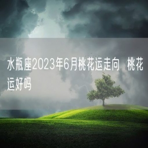 水瓶座2023年6月桃花运走向  桃花运好吗