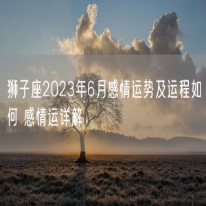 狮子座2023年6月感情运势及运程如何 感情运详解