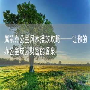 属鼠办公室风水摆放攻略——让你的办公室成为财富的源泉