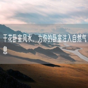 干花卧室风水，为你的卧室注入自然气息