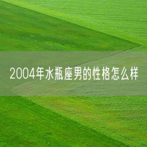 2004年水瓶座男的性格怎么样