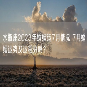 水瓶座2023年婚姻运7月情况 7月婚姻运势及运程好吗？