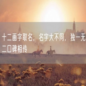 十二画字取名，名字大不同，独一无二口碑相传