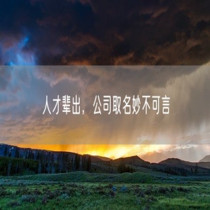 人才辈出，公司取名妙不可言