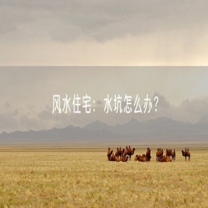 风水住宅：水坑怎么办？