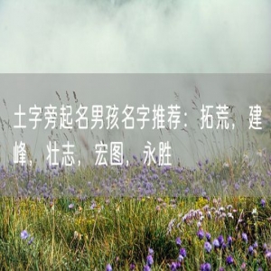 土字旁起名男孩名字推荐：拓荒，建峰，壮志，宏图，永胜