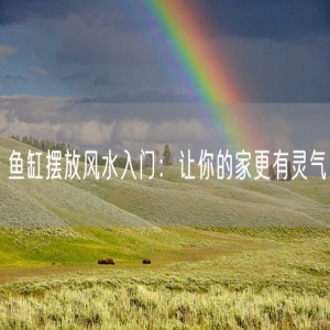 鱼缸摆放风水入门：让你的家更有灵气