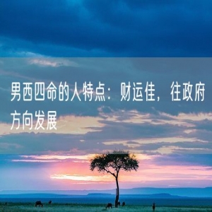 男西四命的人特点：财运佳，往政府方向发展
