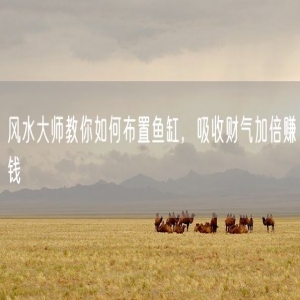 风水大师教你如何布置鱼缸，吸收财气加倍赚钱