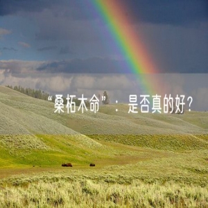 “桑柘木命”：是否真的好？