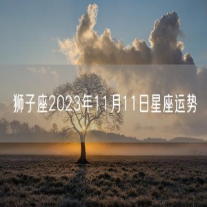 狮子座2023年11月11日星座运势