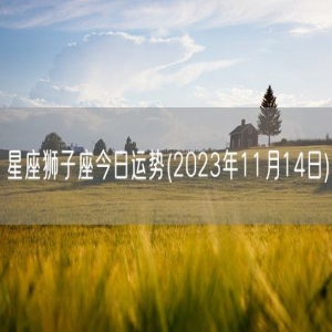 星座狮子座今日运势(2023年11月14日) 